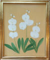 3 orchid plants